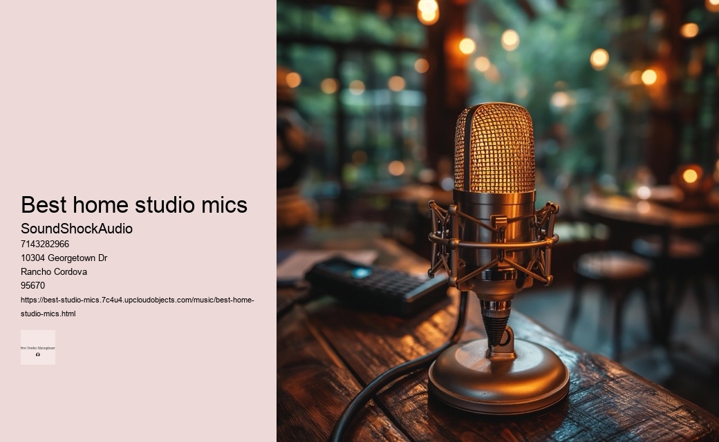 best home studio mics