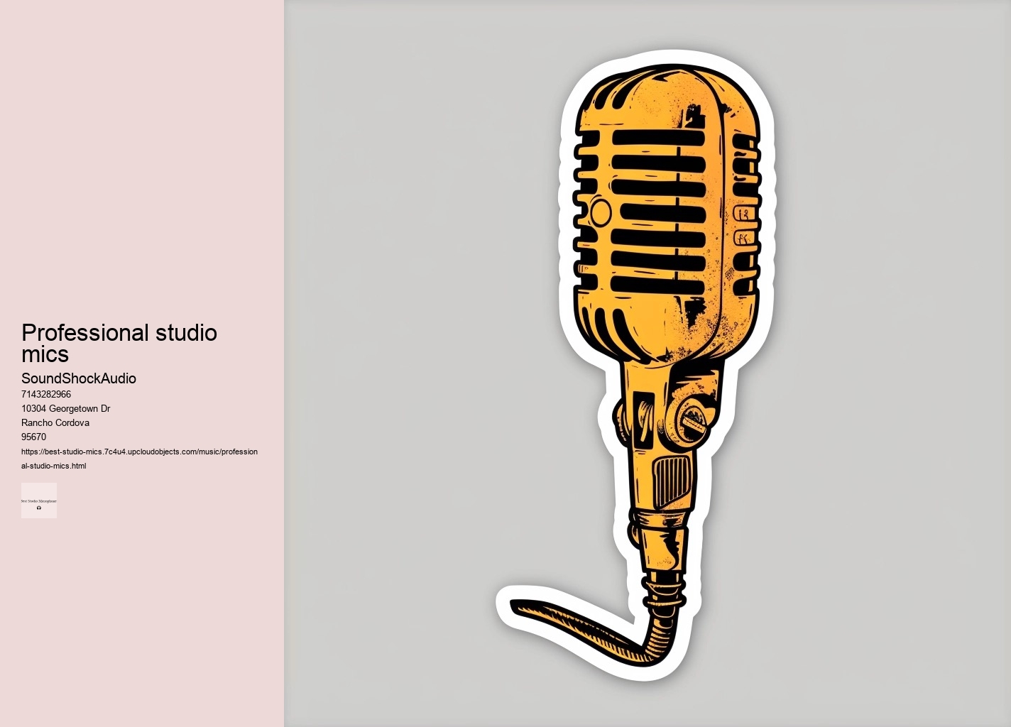 professional studio mics